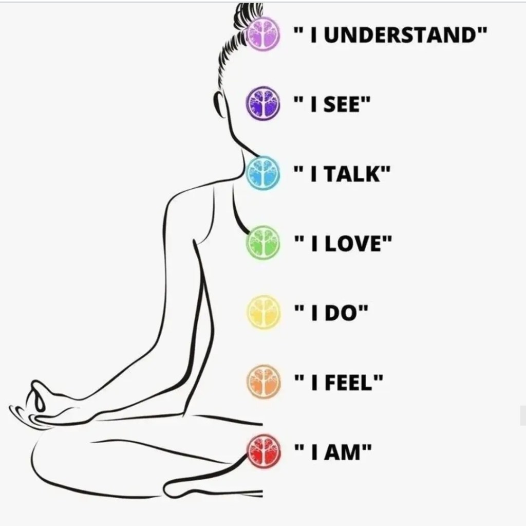 Image montrant la position des différents chakras